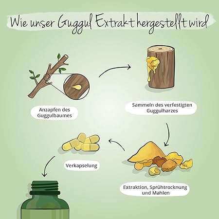 Guggul Vegavero 120 Vegan Capsule