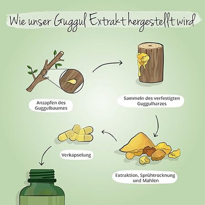 Guggul Vegavero 120 Vegan Capsule